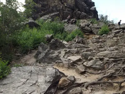 Ferienwohnung für 3 Personen (40 m²) in Wienrode 10/10
