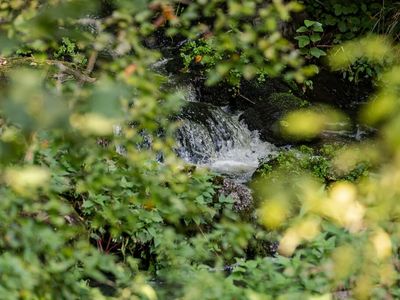 Blick aus dem Fenster