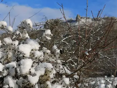 Ferienwohnung für 5 Personen (90 m²) in Wiesenthau 6/10