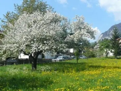 Ferienwohnung für 5 Personen (70 m²) in Wiesing 5/10