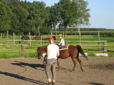 Reitunterricht