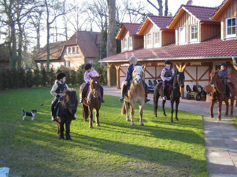 18659494-Ferienwohnung-4-Wietzendorf-800x600-1