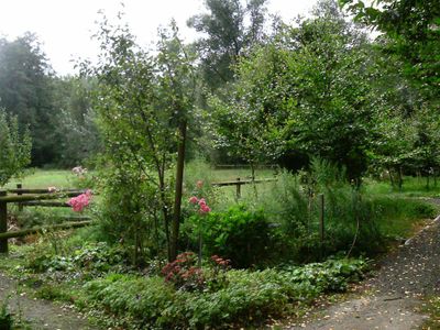 Idyllischer Garten