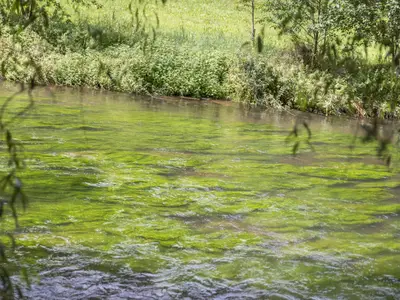 Ferienwohnung für 2 Personen (8 m²) in Wildberg (Baden-Württemberg) 5/10