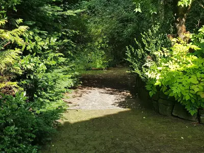 Ferienwohnung für 4 Personen (45 m²) in Wildemann 3/8