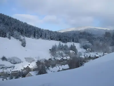 AreaWinter5KM