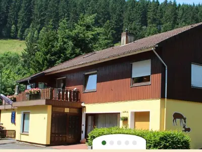 Ferienwohnung für 4 Personen (80 m²) in Wildemann 1/9
