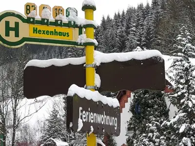 Ferienwohnung für 4 Personen (65 m²) in Wildemann 7/10