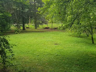 Ferienwohnung für 4 Personen (45 m²) in Wildemann 9/10
