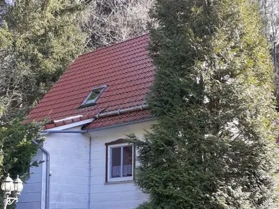 Ferienwohnung für 4 Personen (45 m²) in Wildemann 4/10