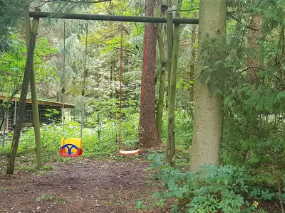 Ferienwohnung für 4 Personen (45 m²) in Wildemann 5/10