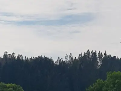 Ferienwohnung für 4 Personen (45 m²) in Wildemann 6/10