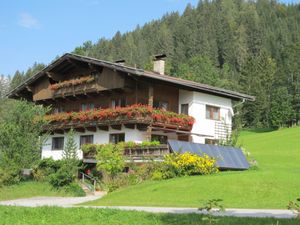 Ferienwohnung für 2 Personen (35 m²) in Wildschönau