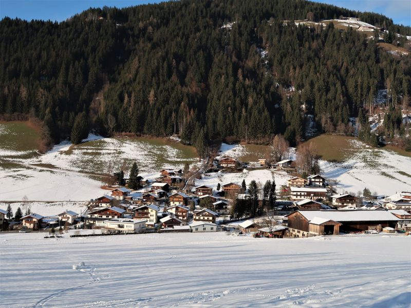 23857660-Ferienwohnung-2-Wildschönau-800x600-2