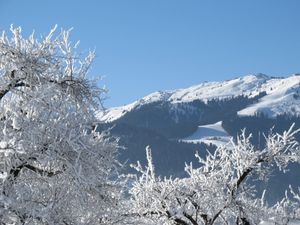 23857660-Ferienwohnung-2-Wildschönau-300x225-3