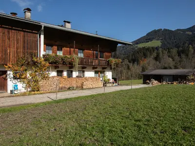 Ferienwohnung für 4 Personen (60 m²) in Wildschönau 2/10