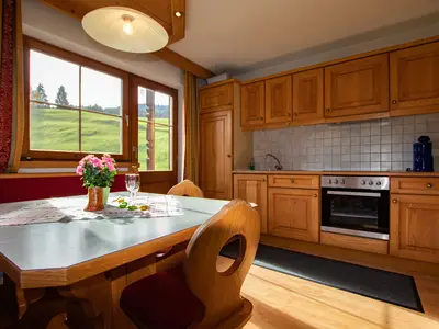 Ferienwohnung für 4 Personen (60 m²) in Wildschönau 5/10