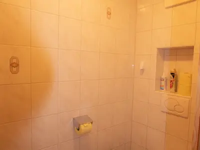 Ferienwohnung für 4 Personen (60 m²) in Wildschönau 10/10