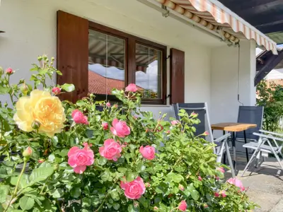 Ambiente / Nahaufnahme