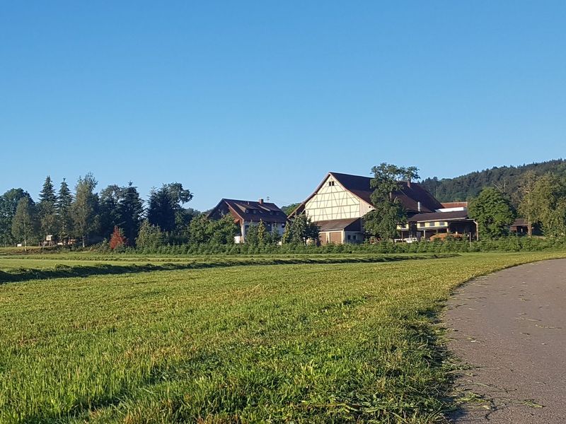 22419465-Ferienwohnung-6-Wilhelmsdorf (Nördlicher Bodensee)-800x600-0