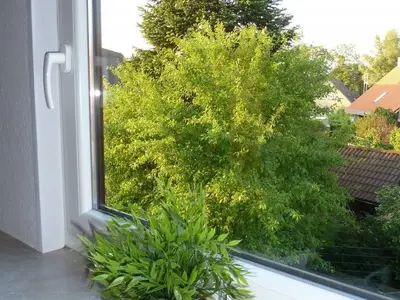 Blick aus dem Wohnzimmerfenster