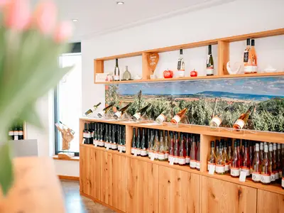 Ferienwohnung für 6 Personen in Willanzheim 4/10