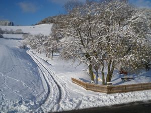 22261611-Ferienwohnung-2-Willingen (Upland)-300x225-5