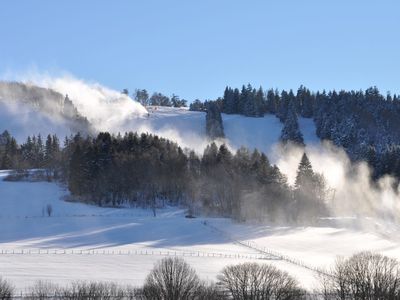 Ferienwohnung für 4 Personen (48 m²) in Willingen (Upland) 8/10