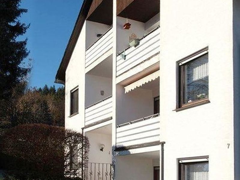 23578916-Ferienwohnung-5-Willingen (Upland)-800x600-0