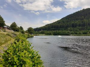 Ferienwohnung für 4 Personen (50 m²) in Willingen (Upland)