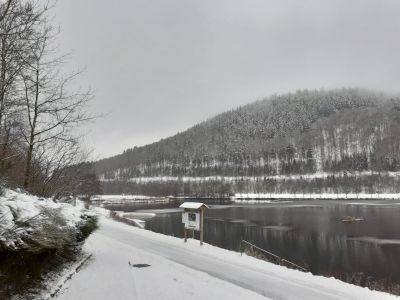 Ferienwohnung für 4 Personen (50 m²) in Willingen (Upland) 4/8