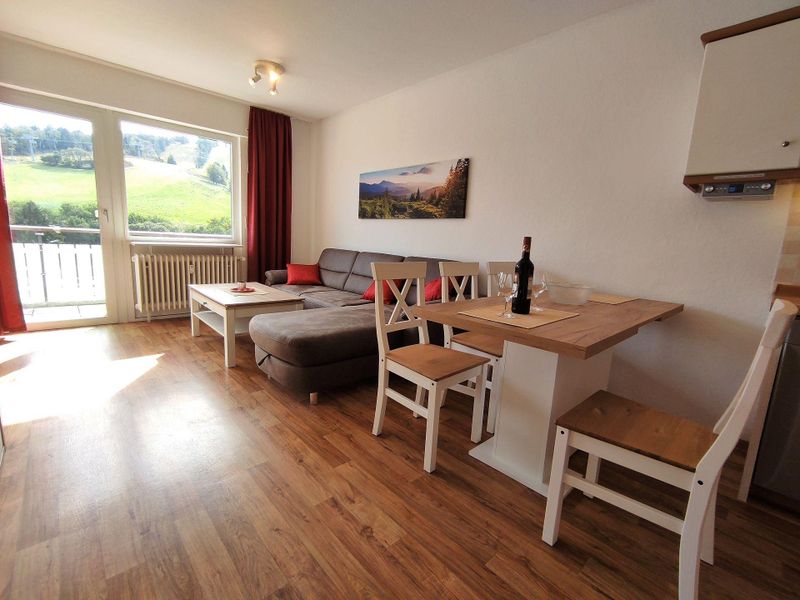 23381851-Ferienwohnung-4-Willingen (Upland)-800x600-2