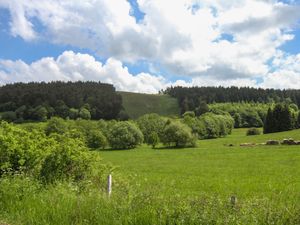 23853914-Ferienwohnung-2-Willingen (Upland)-300x225-4