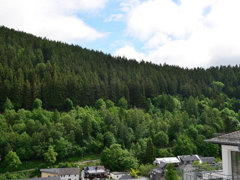 19340608-Ferienwohnung-5-Willingen (Upland)-800x600-2