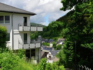 Ferienwohnung für 3 Personen (54 m²) in Willingen (Upland)