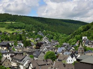 22918991-Ferienwohnung-4-Willingen (Upland)-300x225-4