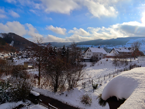 19379973-Ferienwohnung-3-Willingen (Upland)-300x225-2