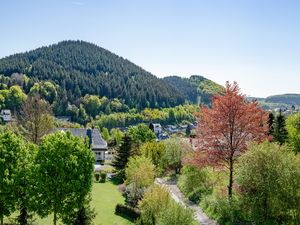 19379973-Ferienwohnung-3-Willingen (Upland)-300x225-3