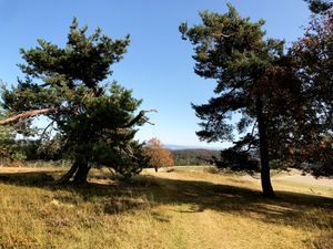 18366821-Ferienwohnung-6-Willingen (Upland)-300x225-1