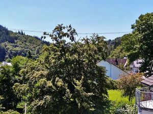 23992186-Ferienwohnung-4-Willingen (Upland)-300x225-4