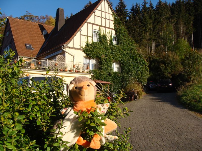 19267662-Ferienwohnung-18-Willingen (Upland)-800x600-1