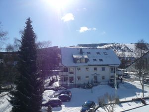 22199017-Ferienwohnung-2-Willingen (Upland)-300x225-4