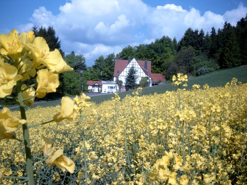 19267662-Ferienwohnung-18-Willingen (Upland)-800x600-2