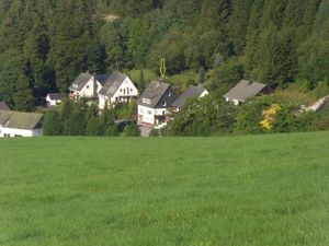 Ferienwohnung für 8 Personen (96 m&sup2;) in Willingen (Upland)