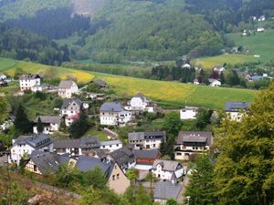 21764619-Ferienwohnung-2-Willingen (Upland)-300x225-2