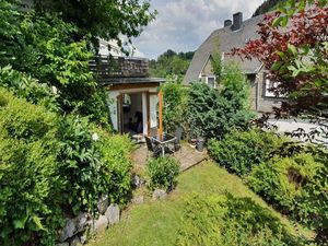 21764619-Ferienwohnung-2-Willingen (Upland)-300x225-4