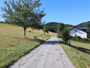 23992192-Ferienwohnung-6-Willingen (Upland)-300x225-1