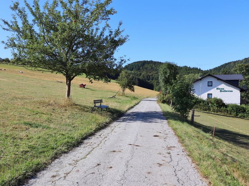 23992192-Ferienwohnung-6-Willingen (Upland)-800x600-1