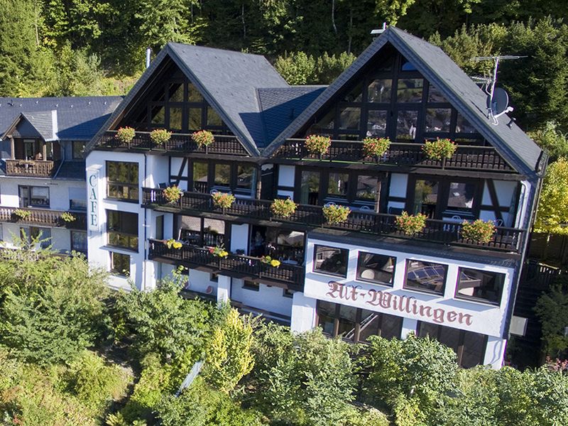 19249319-Ferienwohnung-2-Willingen (Upland)-800x600-0