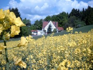 24038678-Ferienwohnung-18-Willingen (Upland)-300x225-1